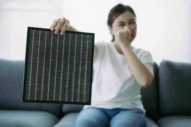 Best Home Air Vent Cleaning  in Shinnecock Hills, NY